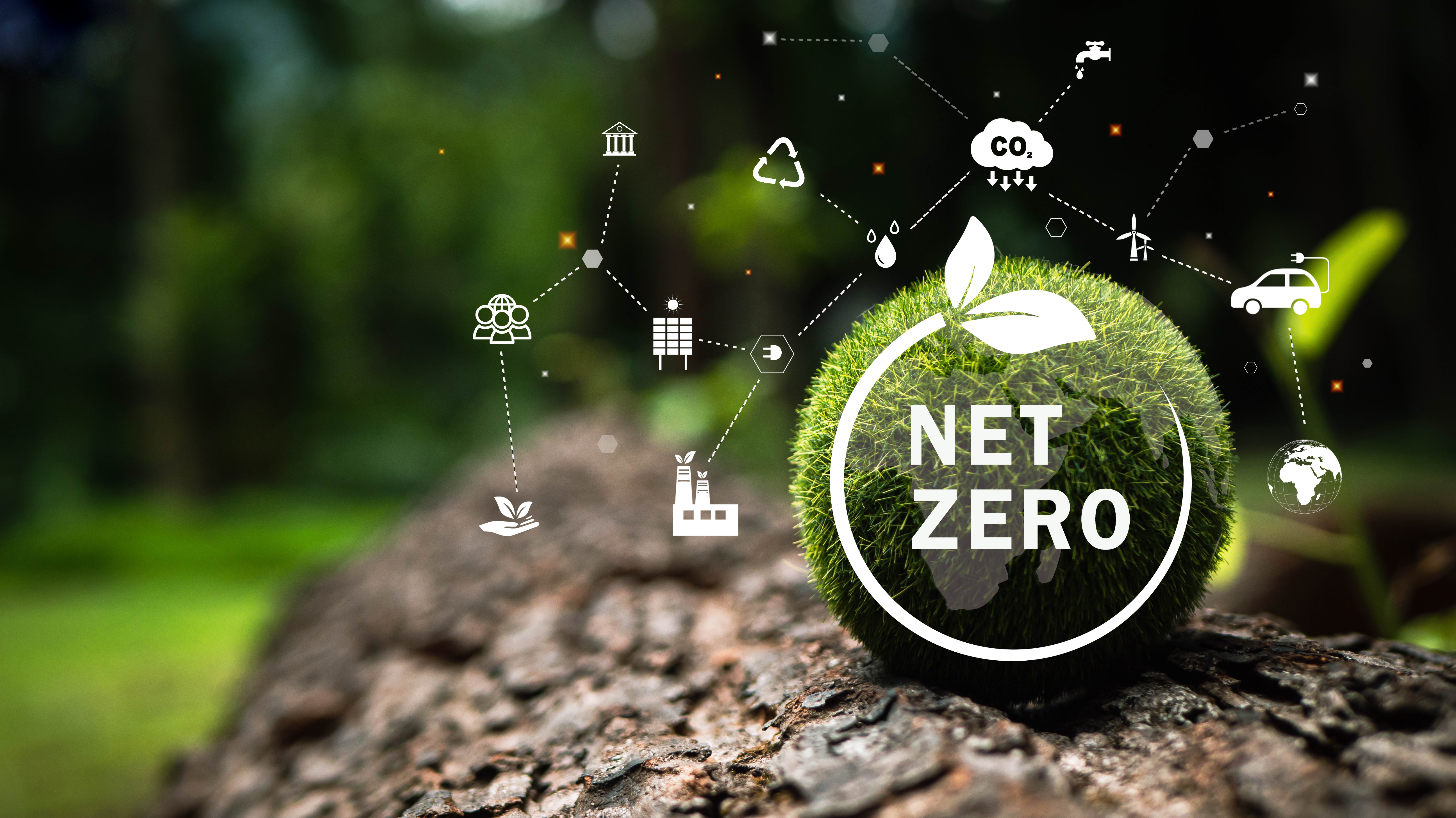 Net zero collaboration under strain
